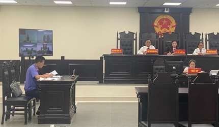 Viện KSND huyện Hoài Đức phối hợp với Tòa án cùng cấp tổ chức 02 phiên...